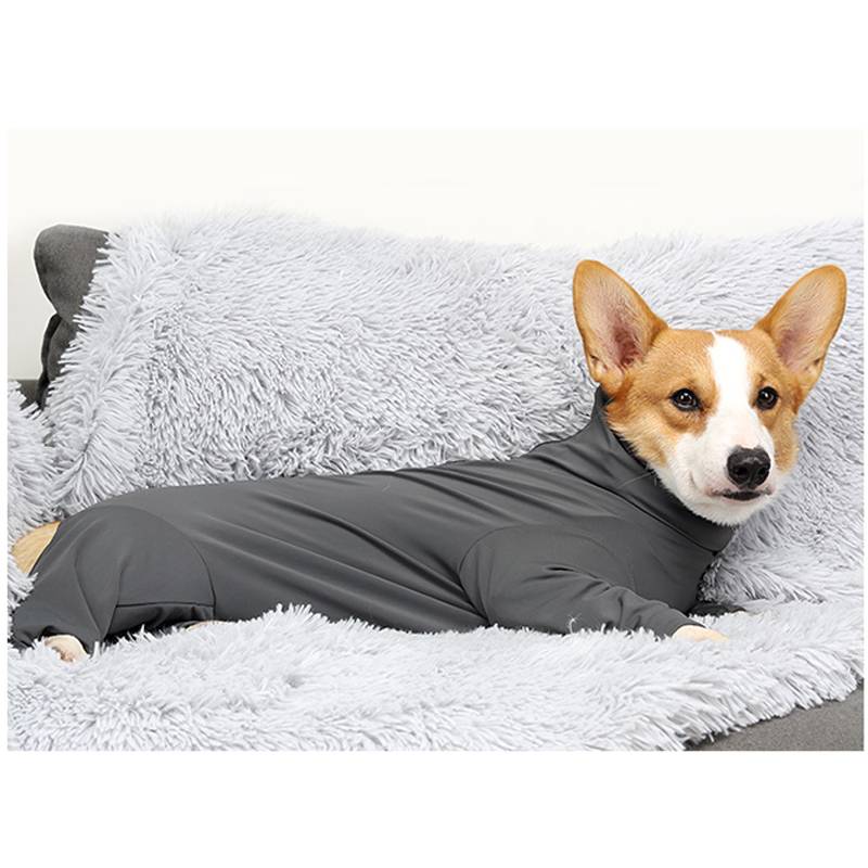 Corgi, das auf einem flauschigen weißen Haustierbett liegt und einen grauen Ganzkörper-Hundeanzug trägt.