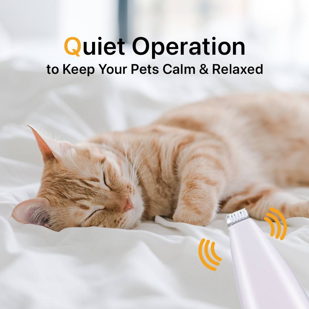 Schlafende orange Katze auf einem Bett mit einem leisen Haustierschneider und dem Text „Leiser Betrieb, um Ihre Haustiere ruhig und entspannt zu halten