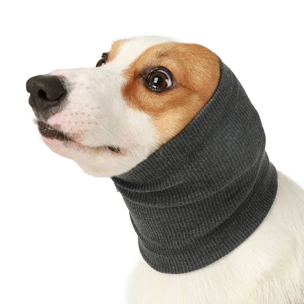 Nahaufnahme eines Hundes, der einen dunkelgrauen gestrickten Halswärmer gegen einen weißen Hintergrund trägt.