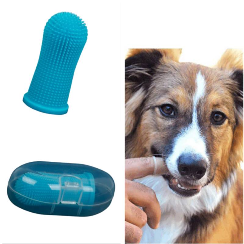 Hundekauzeug-Set: Blaustrukturiertes fingerfömiges Spielzeug und blaue Kapselschachtel neben einem Hund, der an einem Menschenfinger knabbert.