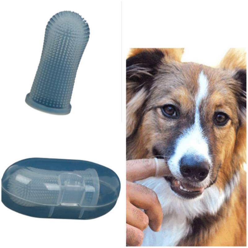 Zahnreinigungsset für Hunde mit einer strukturierten Silikon-Fingerbürste, einem Schutzkoffer und einem Hund, dessen Zähne von einer Hand geputzt werden.