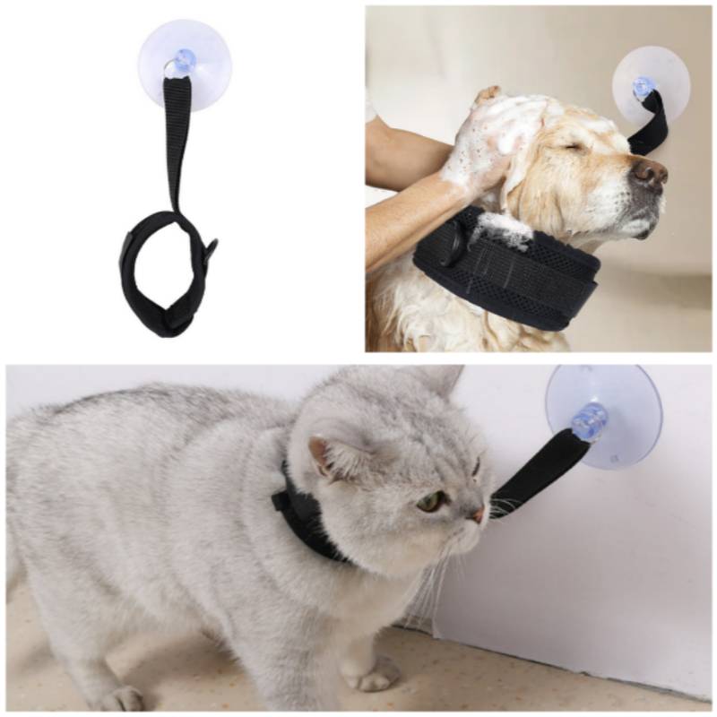 Collage mit einem Saugnapf-Haustier-Führungssystem: eine schwarze Riemenöse an der Wand befestigt, wird verwendet, um einen Hund beim Baden zu sichern, und eine Katze neben einer Wand.