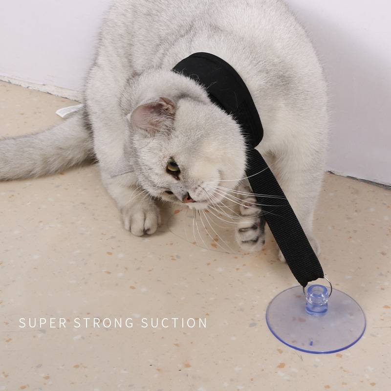 Weiße Katze auf dem Boden, die einen schwarzen Riemen trägt, der an einem Saugnapf befestigt ist und die "ULTRA STARKE SAUGKRAFT"" des Produkts zeigt.