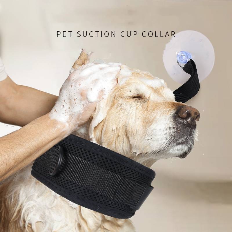 Hund trägt ein schwarzes Haustier-Saugnapf-Halsband während des Badens, mit Text, der "PET SUCTION CUP COLLAR"" liest.