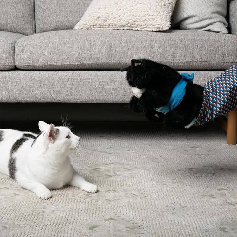 Zwei Katzen schauen sich unter einem grauen Sofa in einem Wohnzimmer an, eine weiße Katze auf dem Teppich und eine schwarze Katze teilweise in einem bunten Tunnel-Spielzeug.