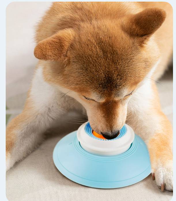Ein Hund frisst aus einer blauen Langsamfutter-Schüssel mit einem spielzeugartigen Mittelteil, die auf einer hellhöhlen Oberfläche ruht.