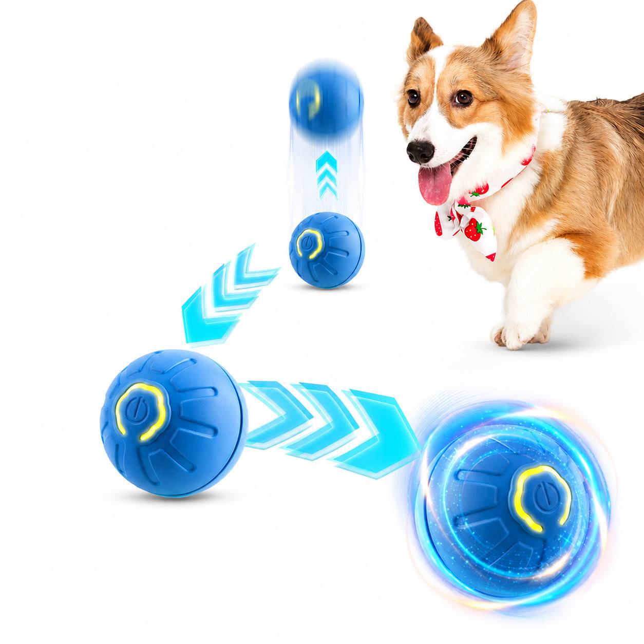 Interaktiver Haustierspielzeugball für Katzen und kleine Hunde Blue