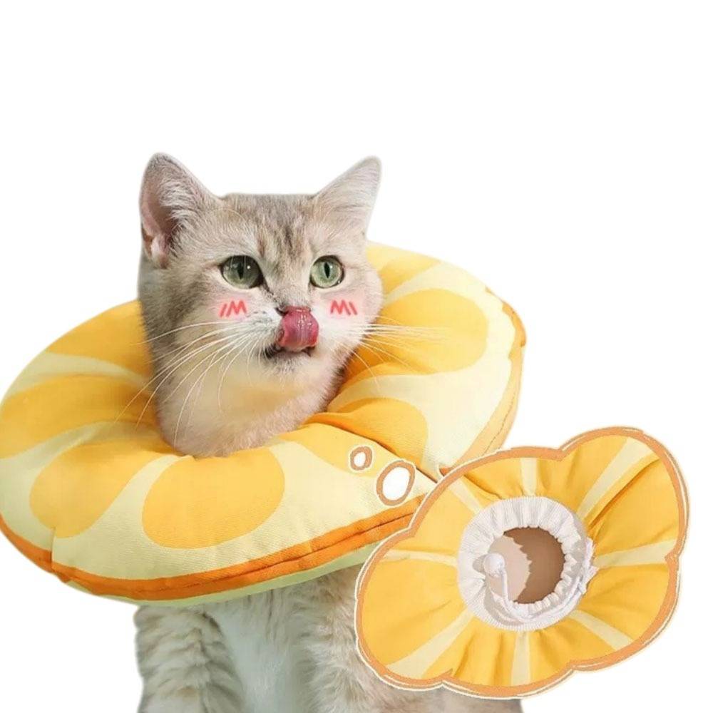 Eine Katze, die einen gelben blütenförmigen Halskragen zur Genesung trägt, mit einem passenden Halskragen, der daneben auf weißem Hintergrund gezeigt wird.