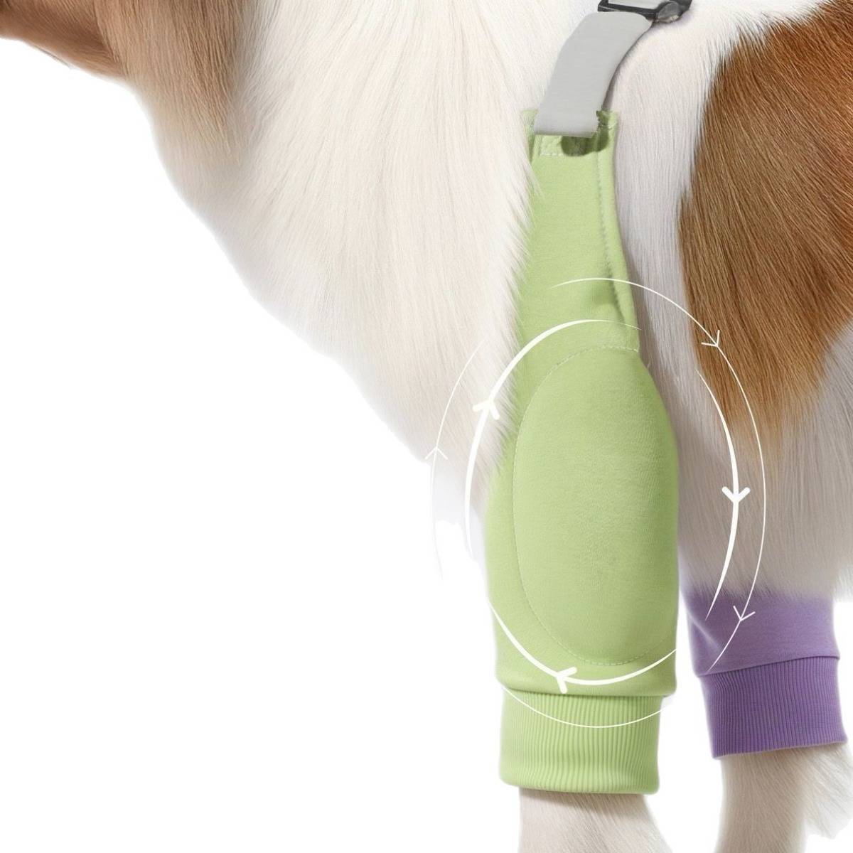 Ganzjahres-Vorderbein-Ellbogenschutz für Hunde – Gepolsterte, abriebfeste Manschette mit verstellbaren elastischen Gurten für Border Collies und