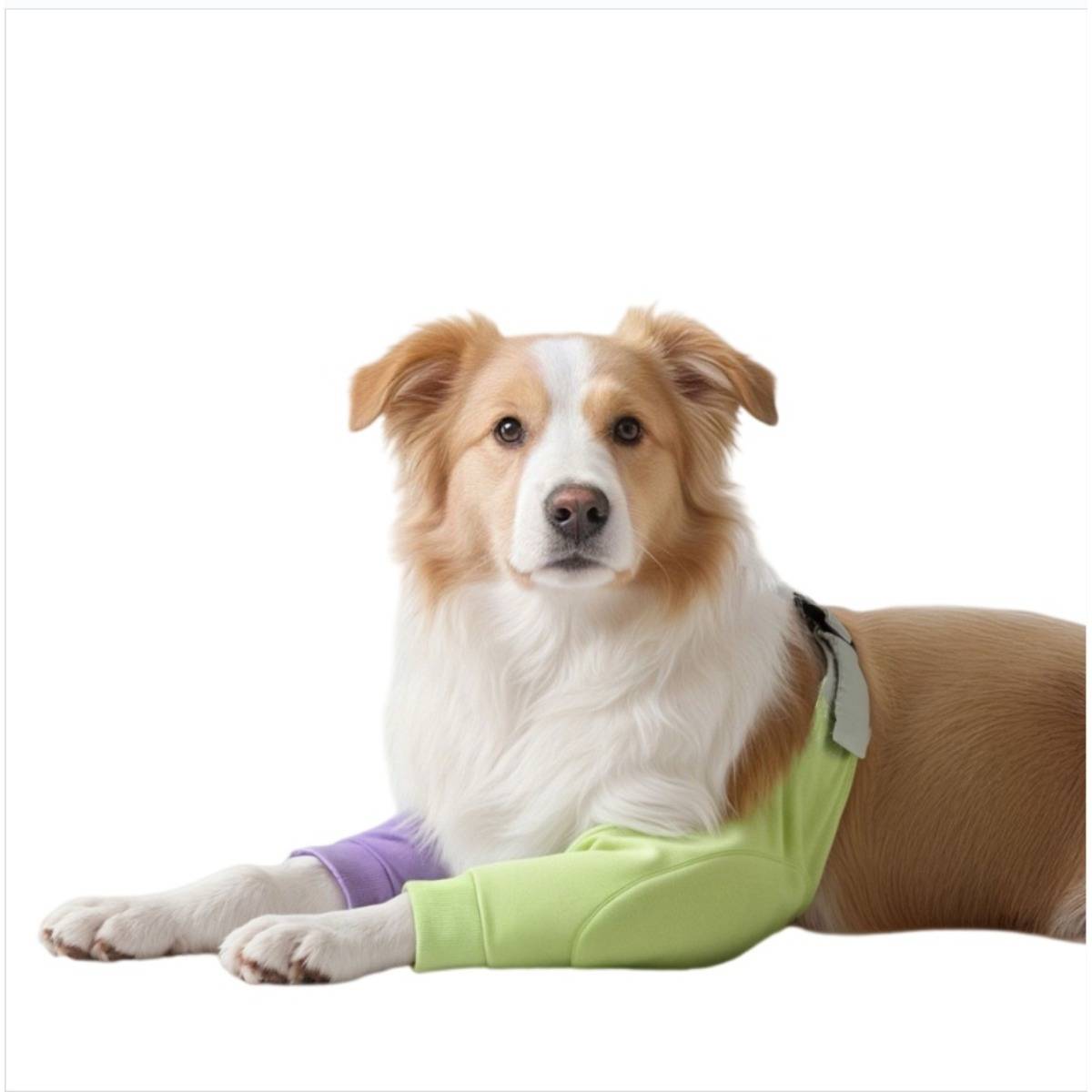 Ganzjahres-Vorderbein-Ellbogenschutz für Hunde – Gepolsterte, abriebfeste Manschette mit verstellbaren elastischen Gurten für Border Collies und