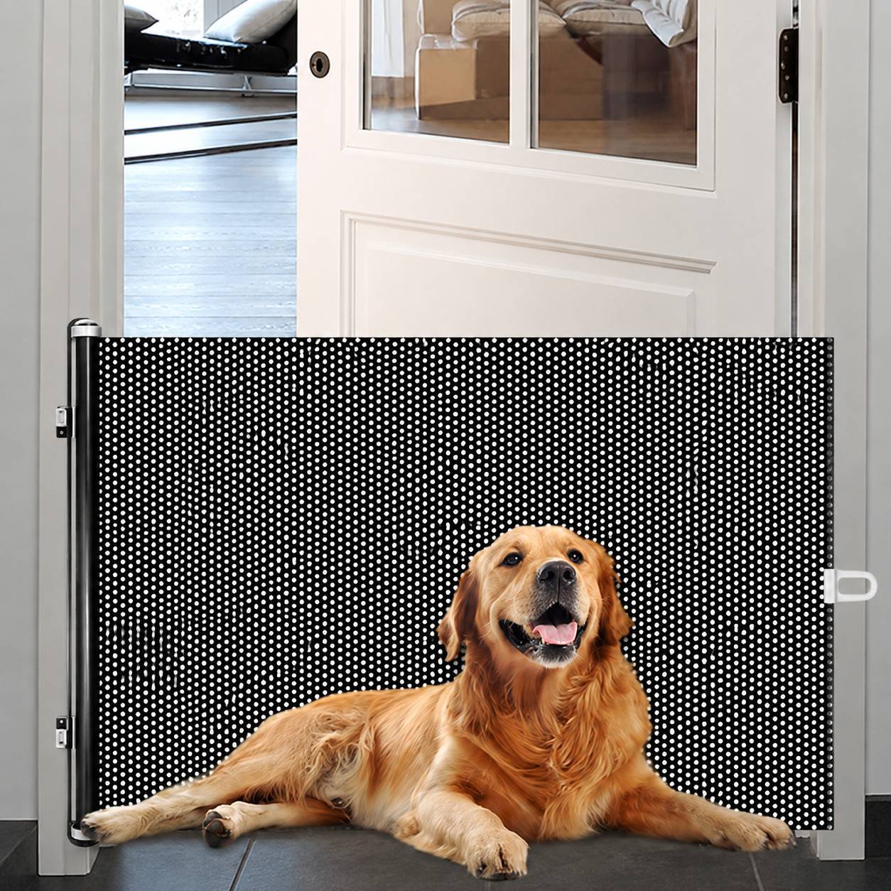 Golden Retriever liegt hinter einem schwarzen Maschenkunststoff-Hundetor in einer Türöffnung, hält den Hund drinnen, während der Raum dahinter offen bleibt.