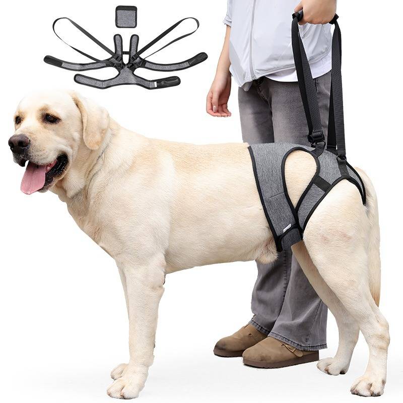 Outdoor Hunde-Hinterbein-Stützgeschirr - Mobilitätshilfe für verletzte & ältere Hunde M