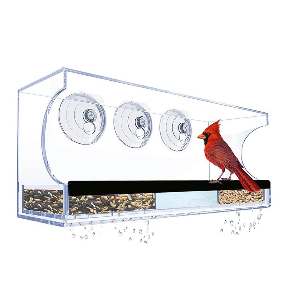 Klares Acryl-Vogelfutterhaus an einem Fenster mit drei Saugnäpfen montiert, gefüllt mit Saaten und ein roter Kardinal sitzt auf der Kante.