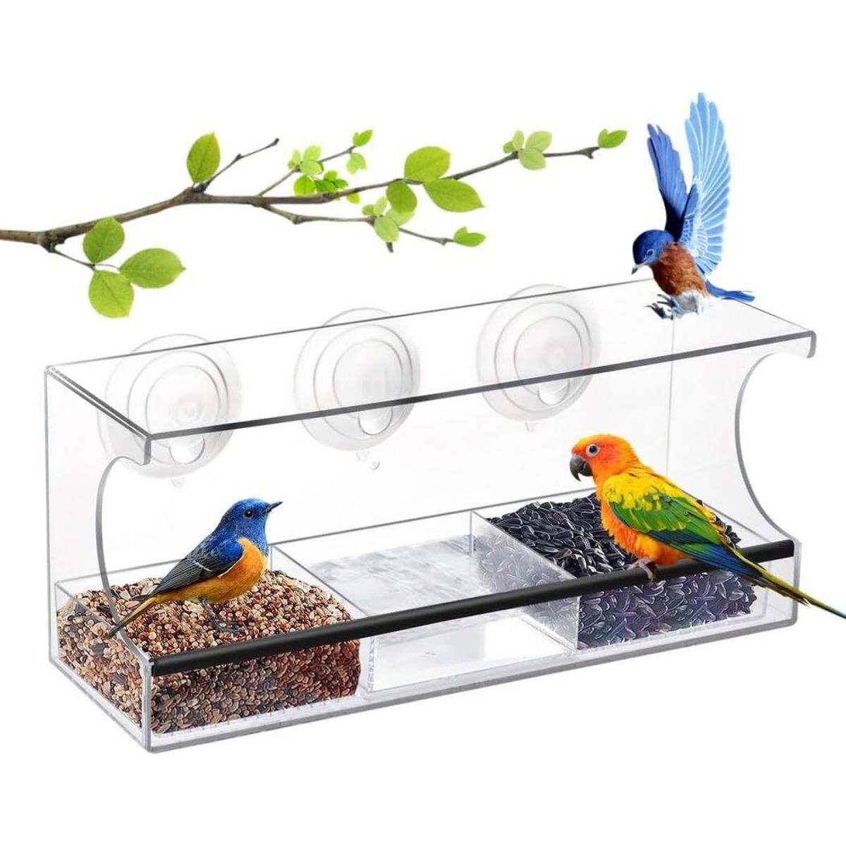 Zwei bunte Vögel an einem klaren Vogelfutterhaus mit Saugnäpfen an einem Fenster, einer sitzt auf Samen und einer fliegt herein, vor weißem Hintergrund.