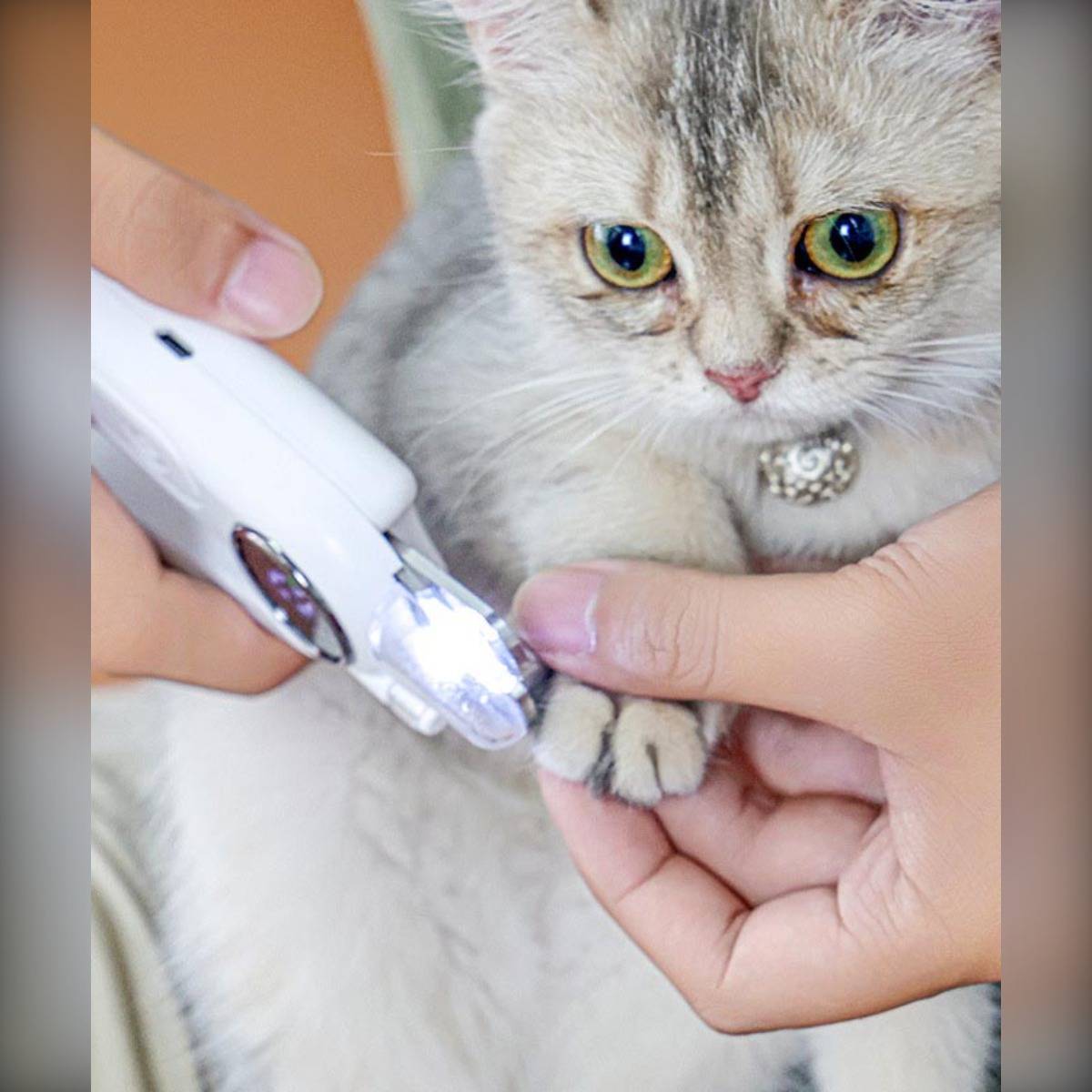 2-in-1 Tiernagelknipser &amp; -schleifer mit LED-Licht – Sichere &amp; einfache Tierpflege Grey