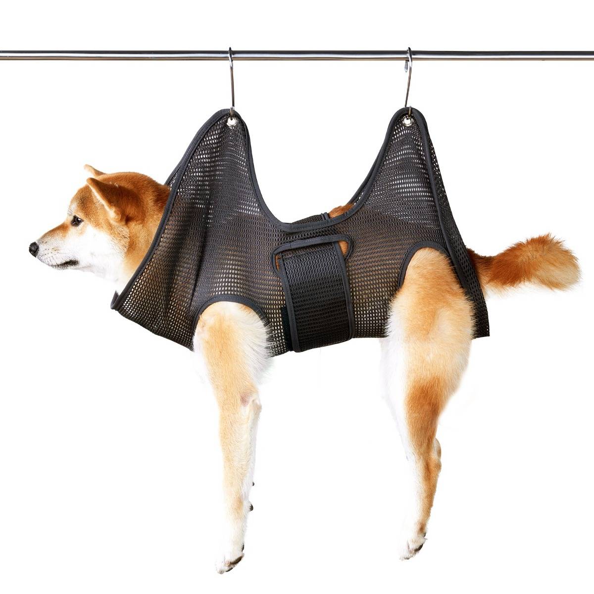 Ein Hund hängt in einem schwarzen Netz-Schleuder-Geschirr, das von einer Metallstange aufgehängt ist, wobei seine Beine und sein Kopf herausstehen.