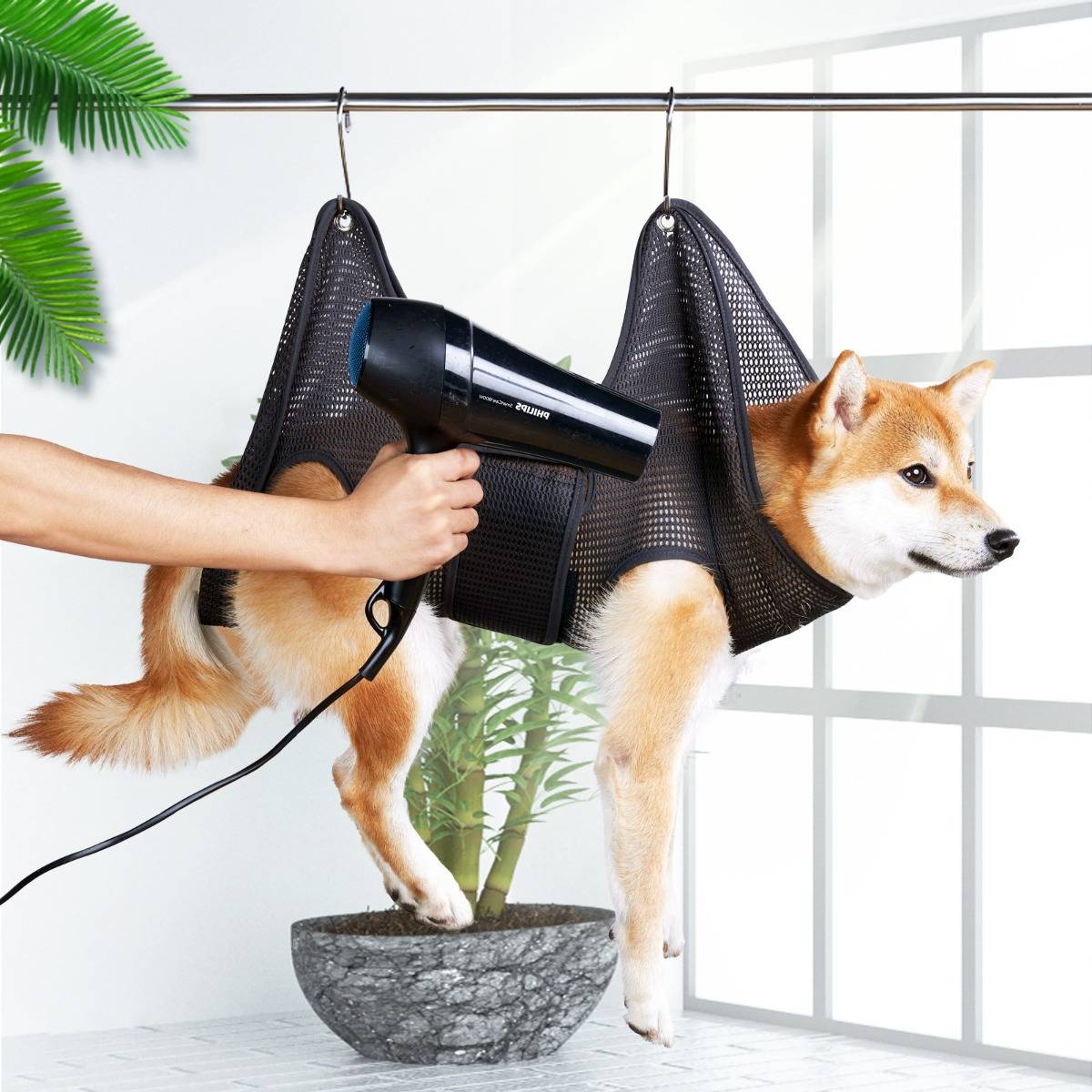 Hund in einer hängenden Pflegehängematte, der von einer Person in Innenräumen mit einem Föhn getrocknet wird, mit seinem Körper, der zum Pflegen aufgehängt ist.