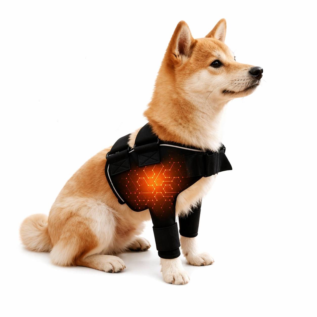Hunde Schulterstütze - Gelenkschutz & Wärmewickel für Vorderbeine M