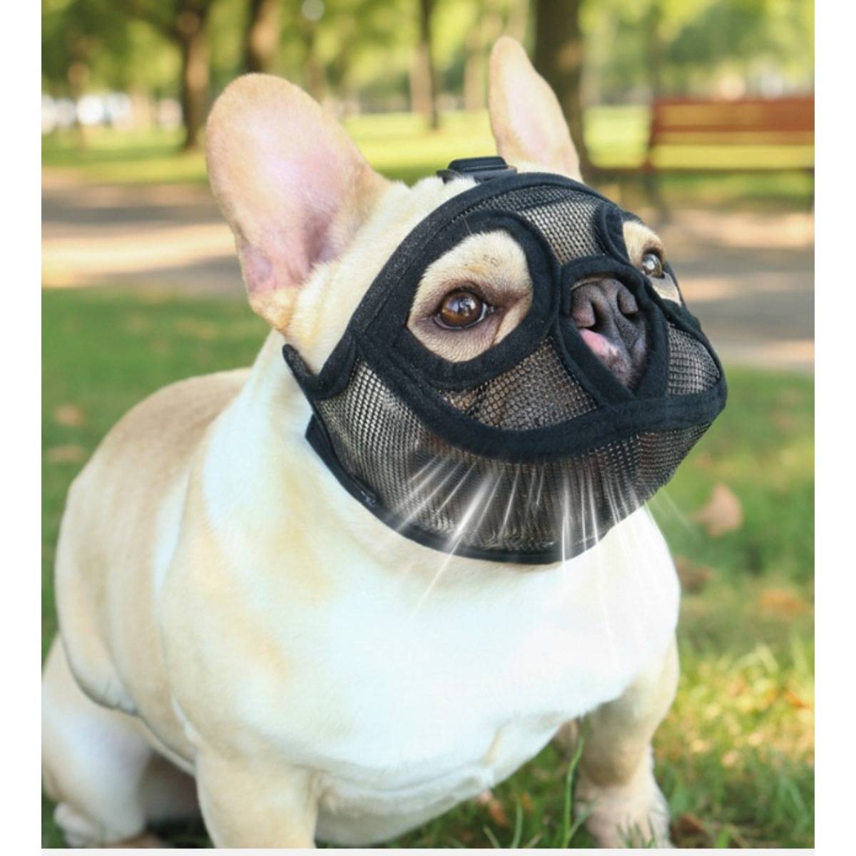 Kurzschnauzen-Hundemaulkorb – Beißschutzmaske kompatibel mit Bulldoggen Black M