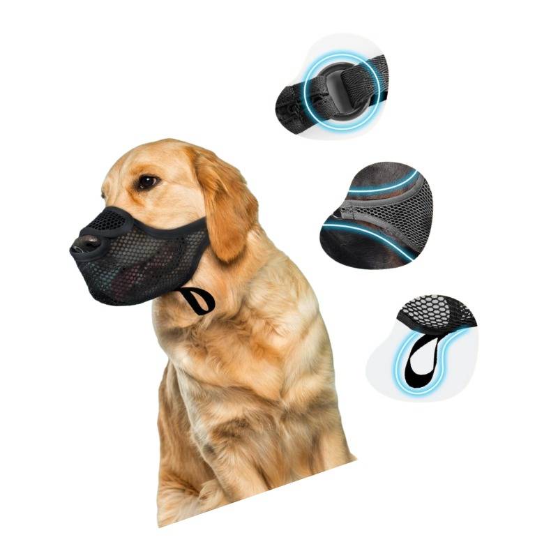 Golden Retriever mit schwarzem Mesh-Hundemaul, mit Nahaufnahmen, die den verstellbaren Riemen und das atmungsaktive Design hervorheben.