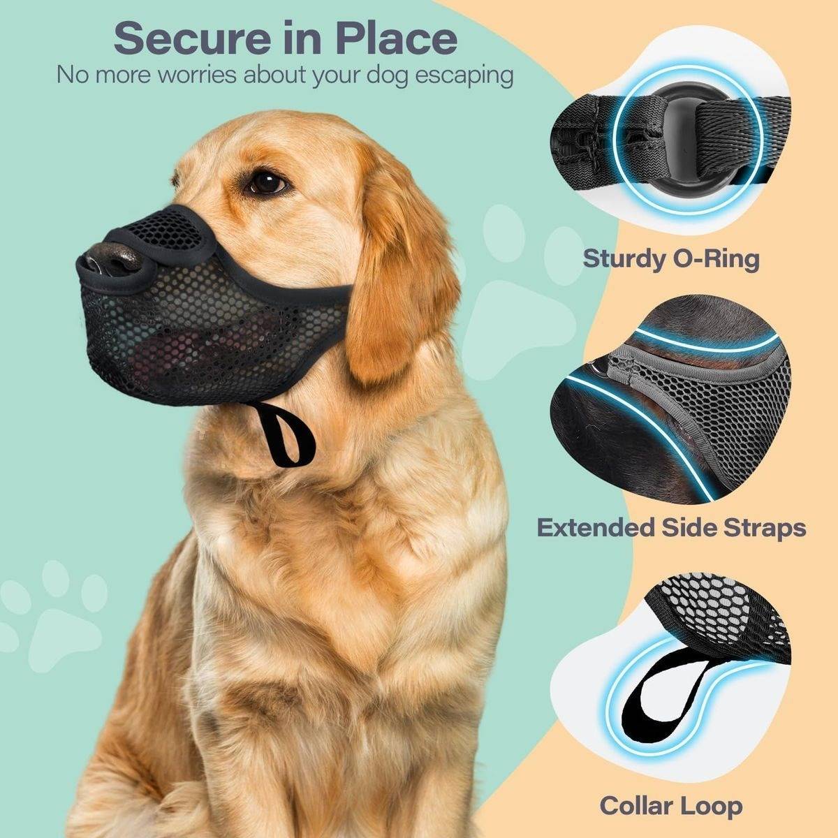 Golden Retriever mit schwarzem Mesh-Hundemaulkorb, mit Hinweisen für „Robuster O-Ring", „Verlängerte Seitengurte"" und „Halsband-Schlaufe"" unter der Überschrift „Sicher an Ort und Stelle"".