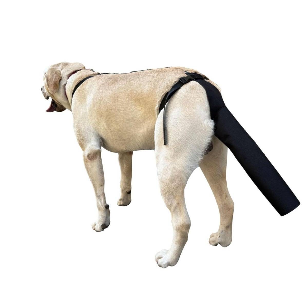 Verstellbarer Schwanzschutz für Hunde – Wundpflege, Beißschutz & Haarausfallprävention Klein