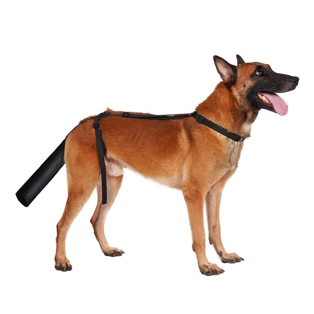 Verstellbarer Schwanzschutz für Hunde – Wundpflege, Beißschutz & Haarausfallprävention Groß