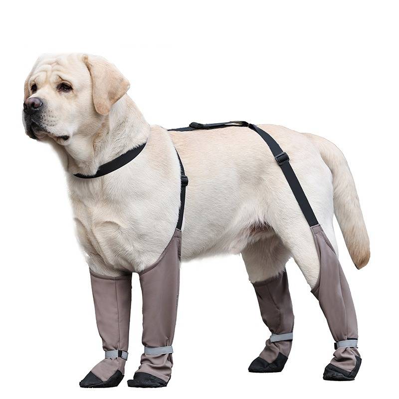 Anti-Rutsch & Warme Hundeschuhe: Pfotenschutz für große Rassen L