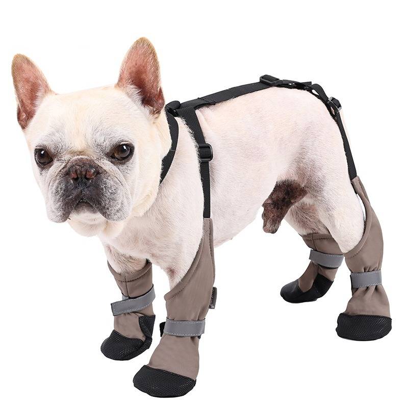 Anti-Rutsch & Warme Hundeschuhe: Pfotenschutz für große Rassen L
