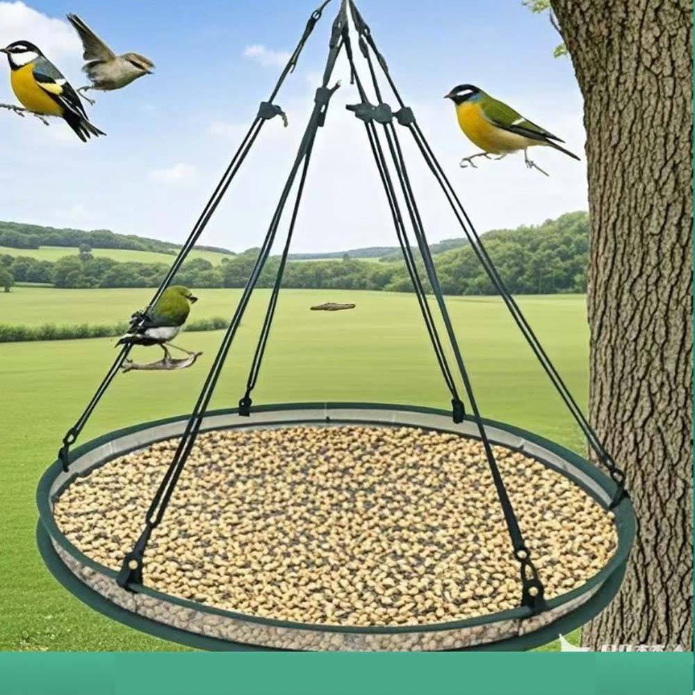 Vogelfuttertablett, das an Riemen von einem Baum aufgehängt ist, mit mehreren kleinen Vögeln, die auf einer Grasfläche darum herum sitzen.