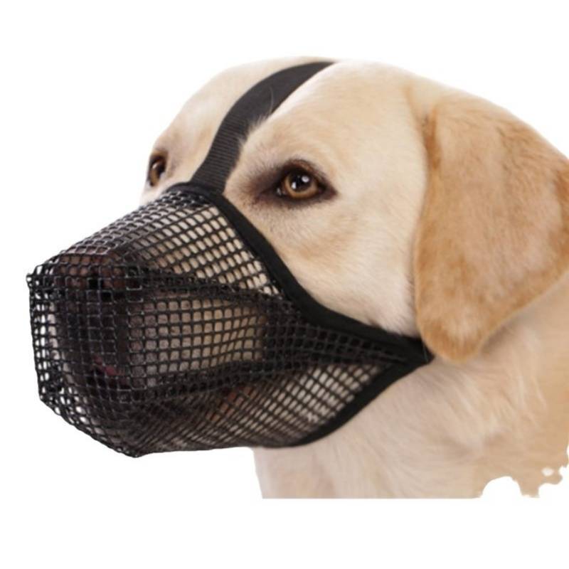 Verstellbarer Nylon-Hundemaulkorb: Beiß-, Leckschutz & atmungsaktive Maulabdeckung M