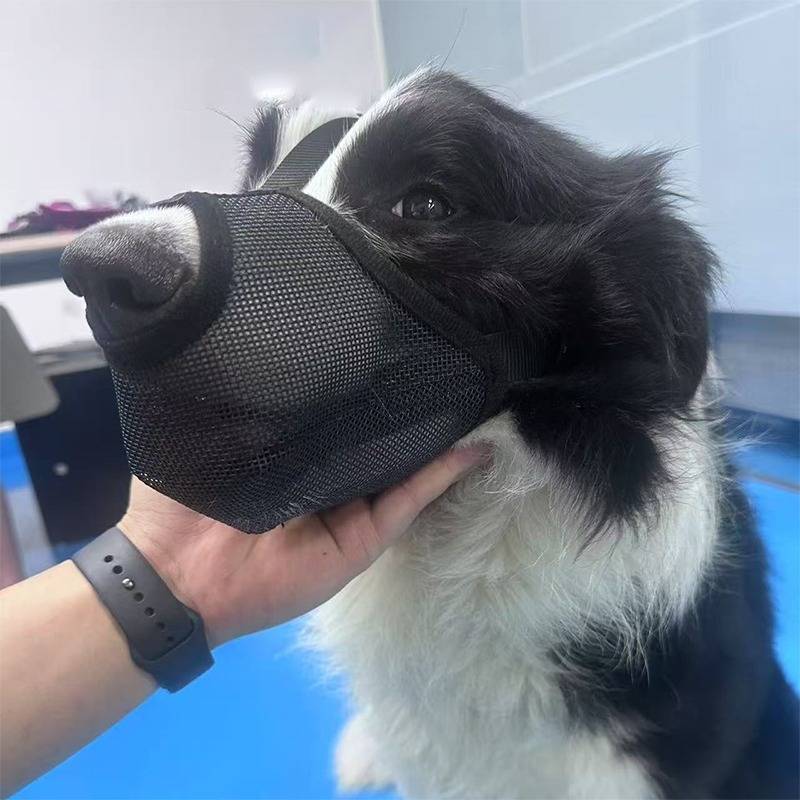 Verstellbarer Nylon-Hundemaulkorb: Beiß-, Leckschutz & atmungsaktive Maulabdeckung XL