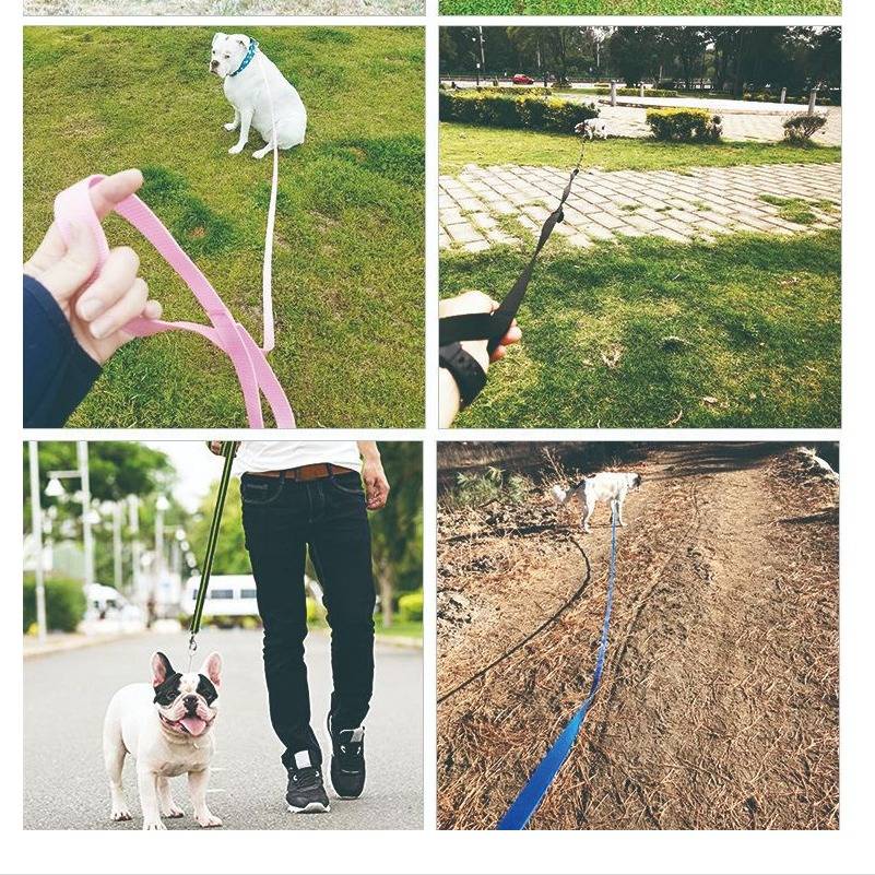 6m Outdoor Trainingsleine für Hunde - Lange Polyesterleine für Rückruftraining Grey