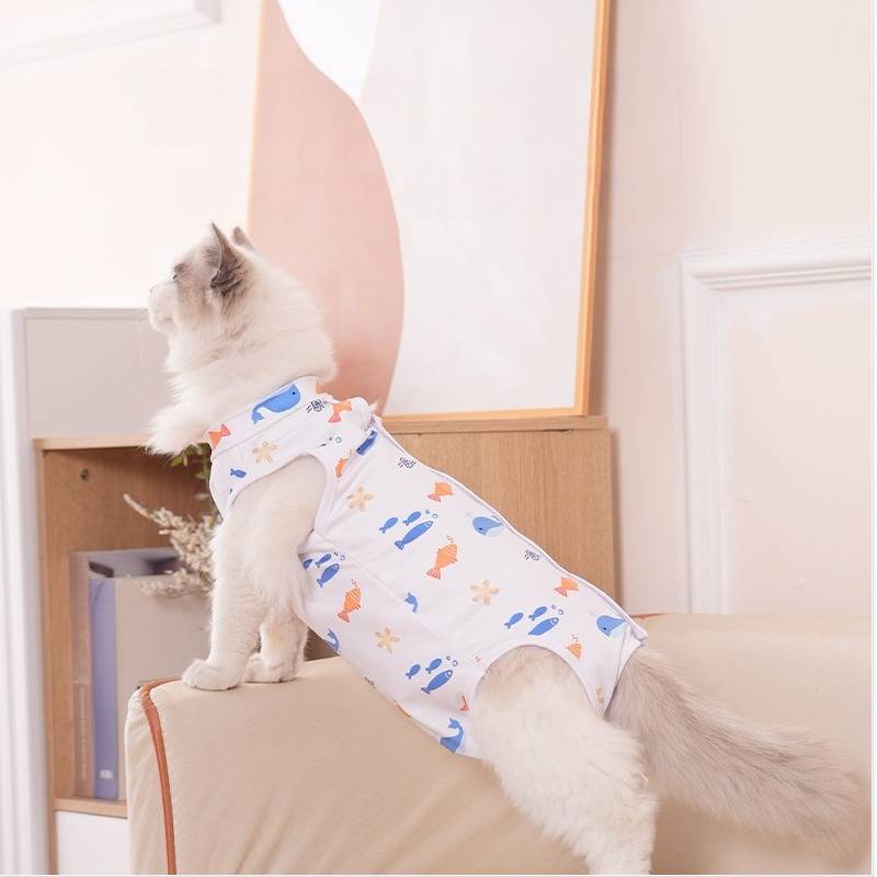 Eine weiße Katze in einem gemusterten ärmellosen Hemd steht auf einem Sofa und streckt sich einem Spiegel in einem hellen Zimmer entgegen.