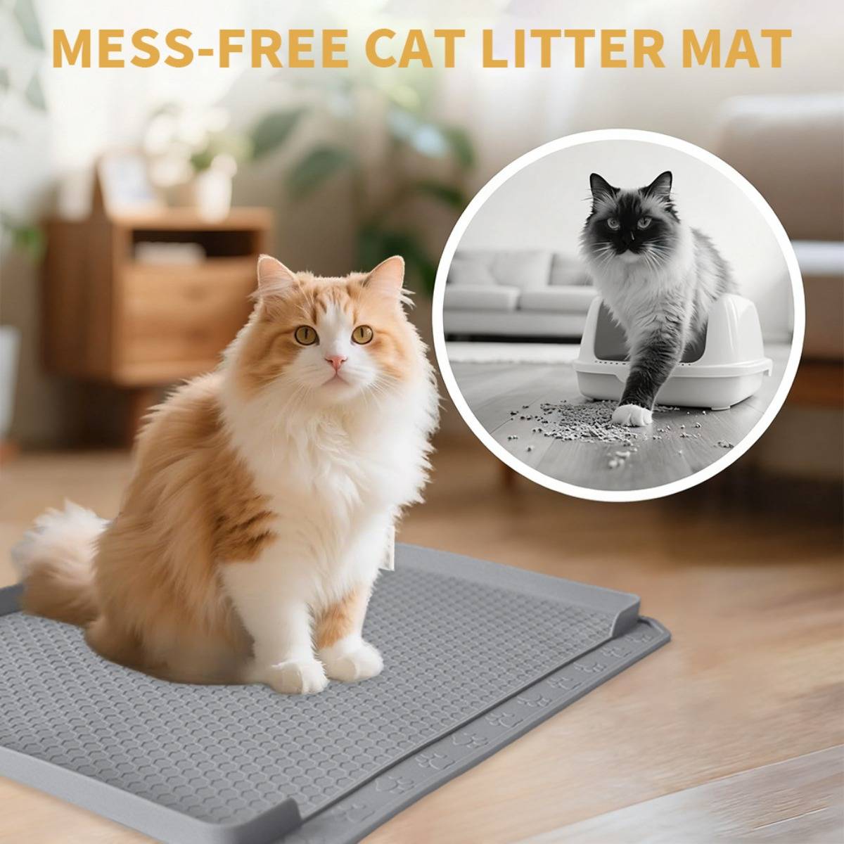 Flauschige orange Katze sitzt auf einer grauen Streumattte in Innenräumen; die Einblendung zeigt eine andere Katze, die aus einer Katzentoilette auf die Matte tritt.