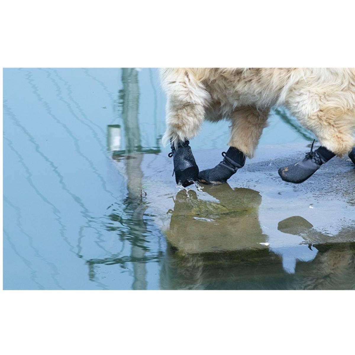 Wasserdichte Anti-Rutsch-Hundeschuhe - 4er-Pack, Verbesserter Halt &amp; Schutz S