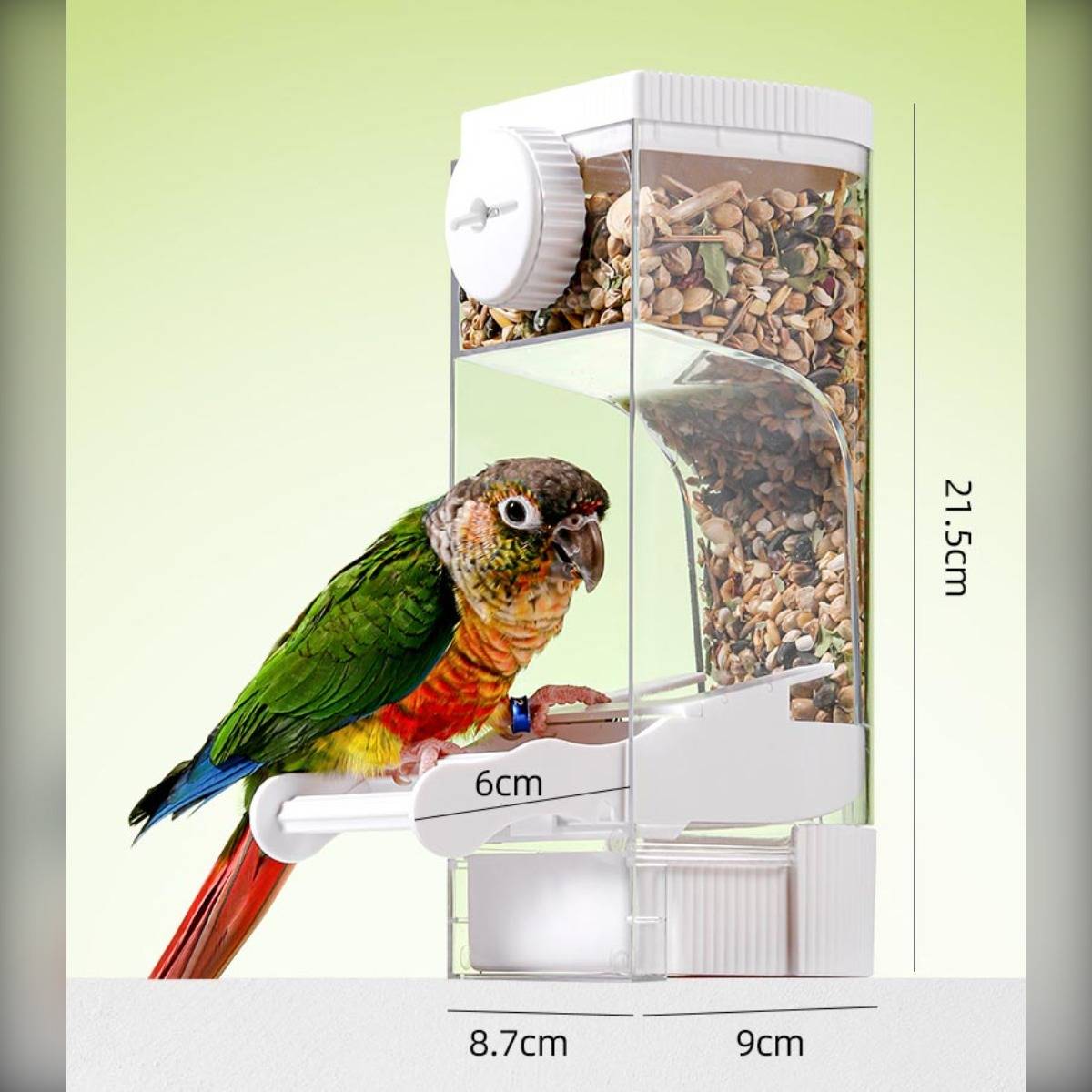 Ein bunter Papagei sitzt auf einem transparenten Vogelfutterhaus, das an einem Fenster befestigt ist, mit sichtbarem Futter im Inneren und Größenetiketten, die 21,5 cm, 9 cm, 8,7 cm und 6 cm anzeigen.