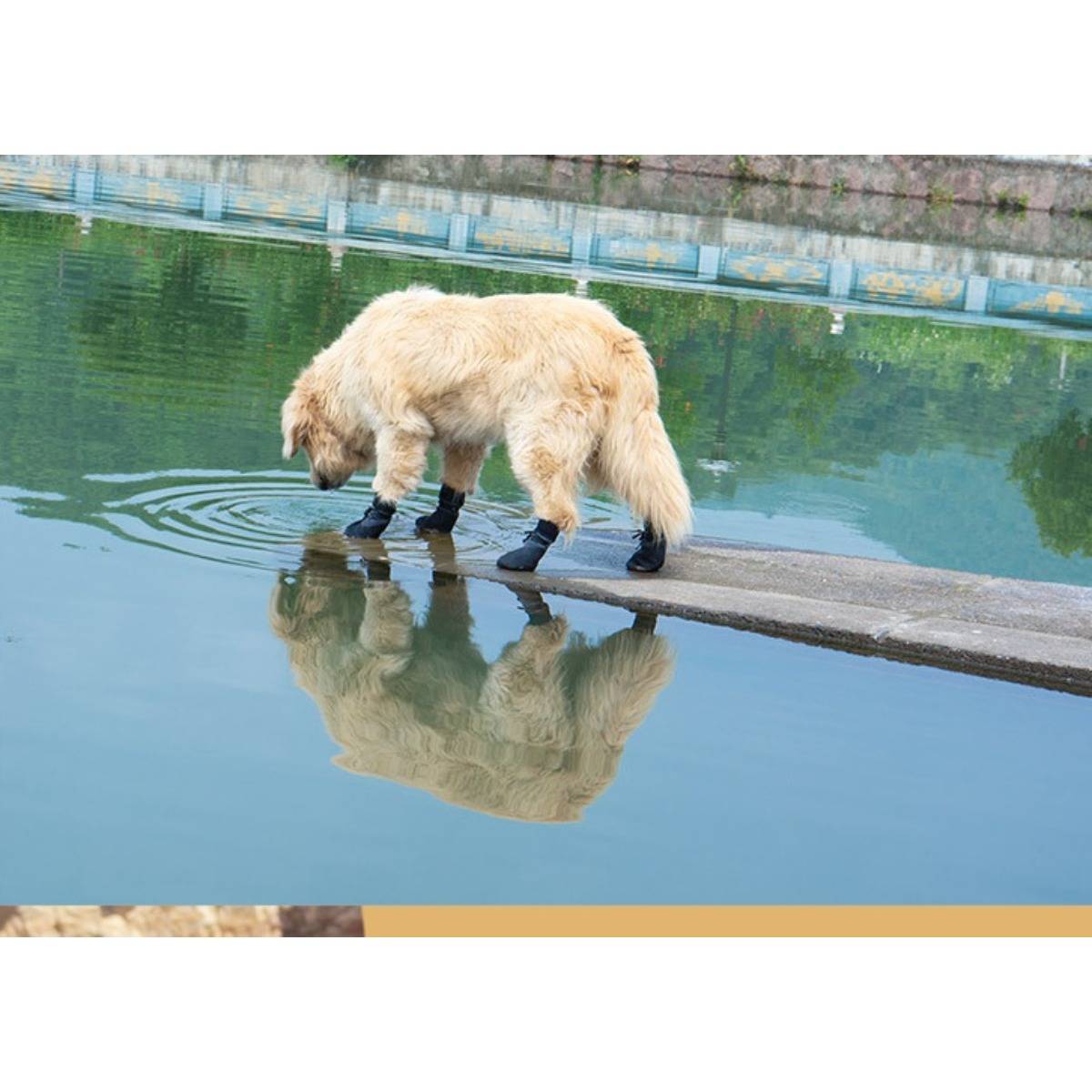 Wasserdichte Anti-Rutsch-Hundeschuhe - 4er-Pack, Verbesserter Halt &amp; Schutz M
