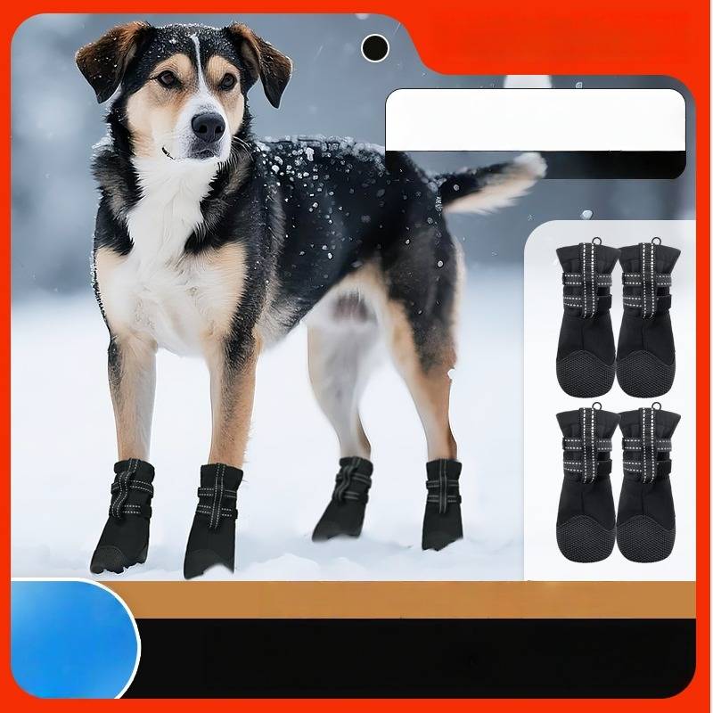 Hund mit schwarzen Stiefeletten im Schnee, gezeigt als Produktbild mit vier passenden Stiefeln auf der rechten Seite angeordnet.