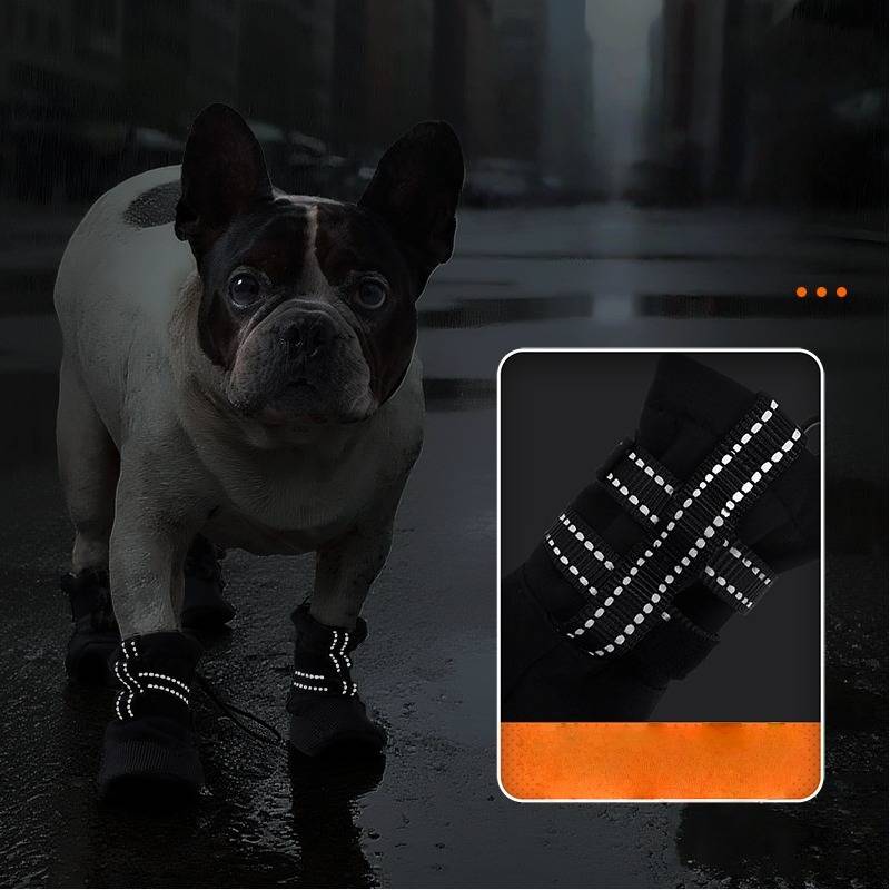 Französische Bulldogge mit reflektierenden Stiefelchen auf einer nassen, dunklen Straße, mit einer eingefügten Nahaufnahme, die die reflektierenden Riemen des Stiefels zeigt.