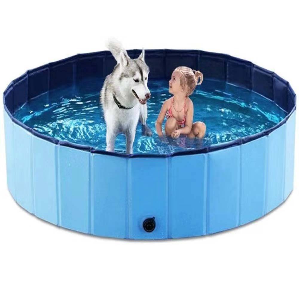 Ein kleines Mädchen und ein Husky stehen in einem blauen aufblasbaren Haustier-Pool, der mit Wasser gefüllt ist.