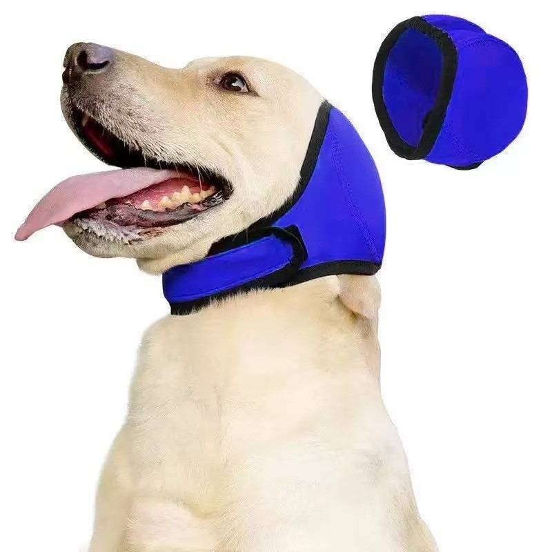 Weißer Hund mit einer blauen Schutzhaube für Kopf und Hals, daneben eine passende Haube gezeigt.
