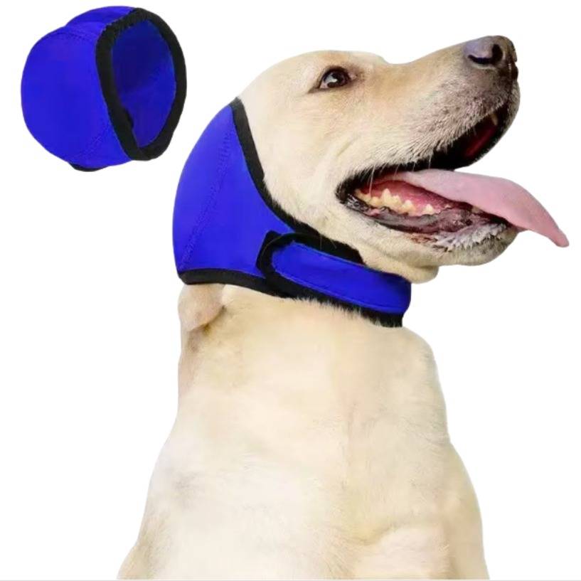 Weißer Hund mit blauem und schwarzem Schutz für Kopf und Hals, von der Seite gezeigt mit offenem Maul und herausgestreckter Zunge; die Vergrößerung zeigt den Schutz allein.