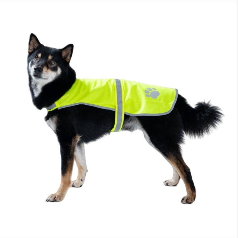 Schwarz-brauner Hund, der eine leuchtend gelbe reflektierende Weste mit einer Pfotenabd­ruck­zeichnung trägt, steht im Profil auf weißem Hintergrund.