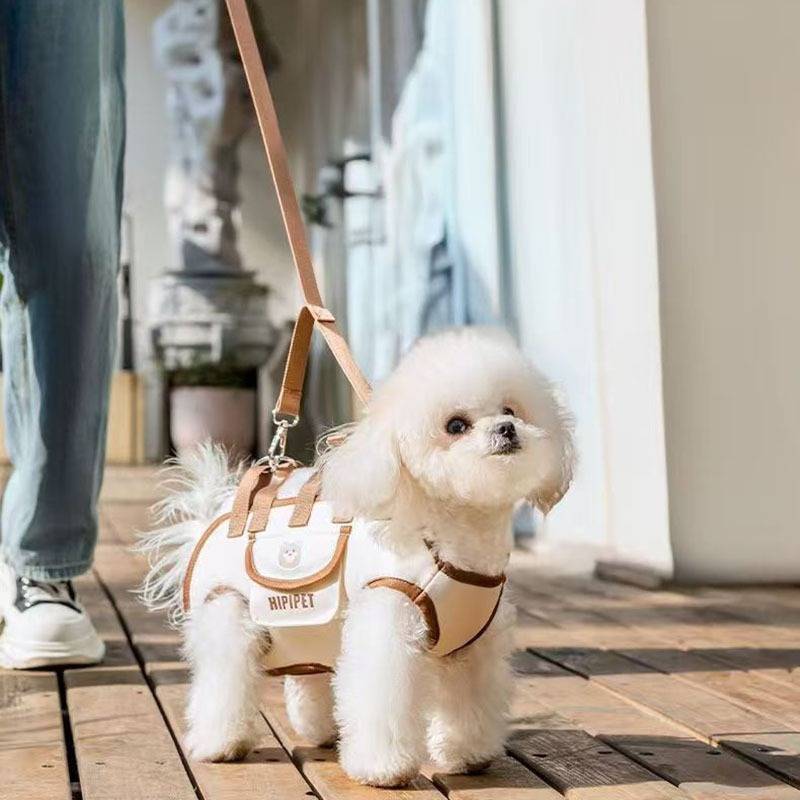 Kleiner weißer Hund in einem beigen Geschirr und an einer Leine steht auf einem hölzernen Gehweg neben den Beinen einer Person.