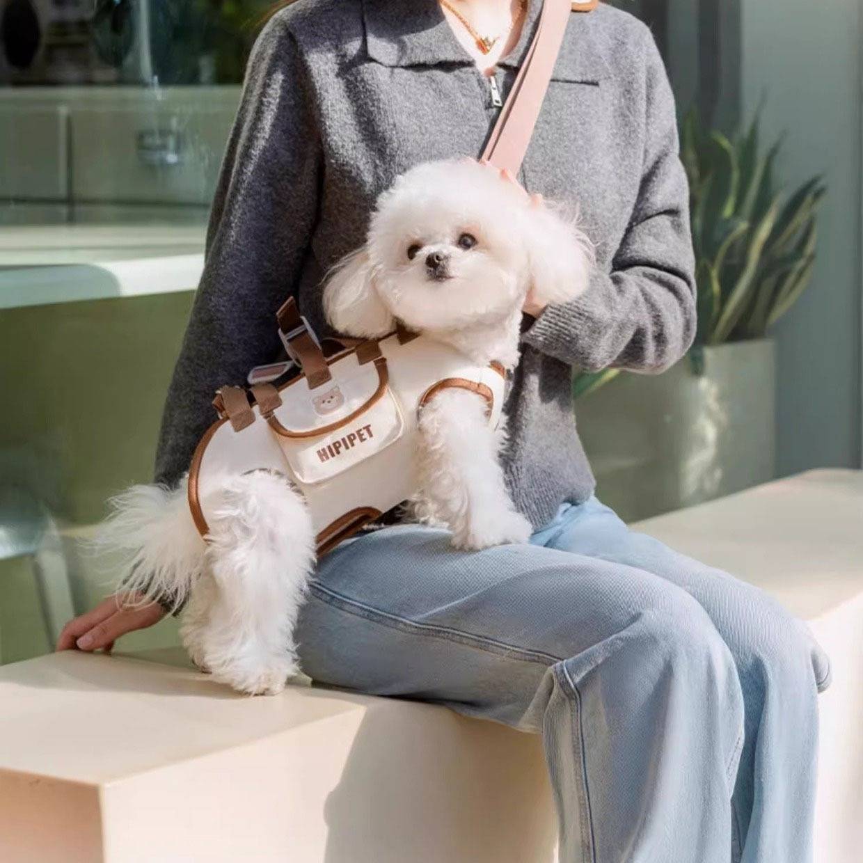 Eine Person sitzt auf einer Bank und hält einen kleinen weißen Hund in einer beige Haustier-Transporttasche auf ihrem Schoß.