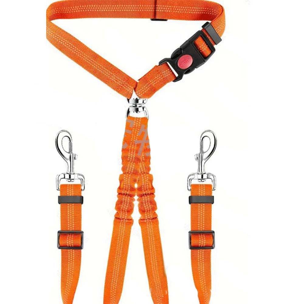 Verstellbares orangefarbenes Haustierhalsband und zwei passende Leinengurte mit Metallclips auf weißem Hintergrund.