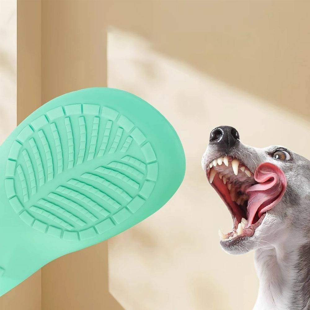 Hund, der ein mintgrünes, strukturiertes Gummispielzeug beißt, mit geöffnetem Maul und sichtbaren Zähnen vor beigefarbenem Innenraum-Hintergrund.