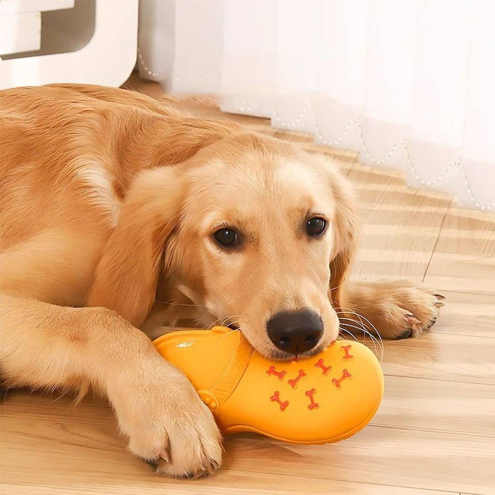 Ein Golden Retriever liegt auf einem Holzboden und kaut auf einem leuchtend orangefarbenen Spielknochen drinnen in der Nähe eines Fensters.