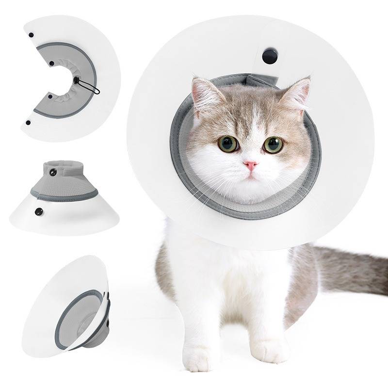 Katze mit weißem schützenden Genesungskragen, Vorderansicht mit kleinen Detailaufnahmen der Seite des Kragens und der Befestigungsdetails.